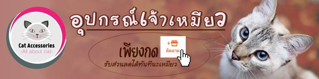 อุปกรณ์แมว